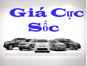 Icon giá cực sốc